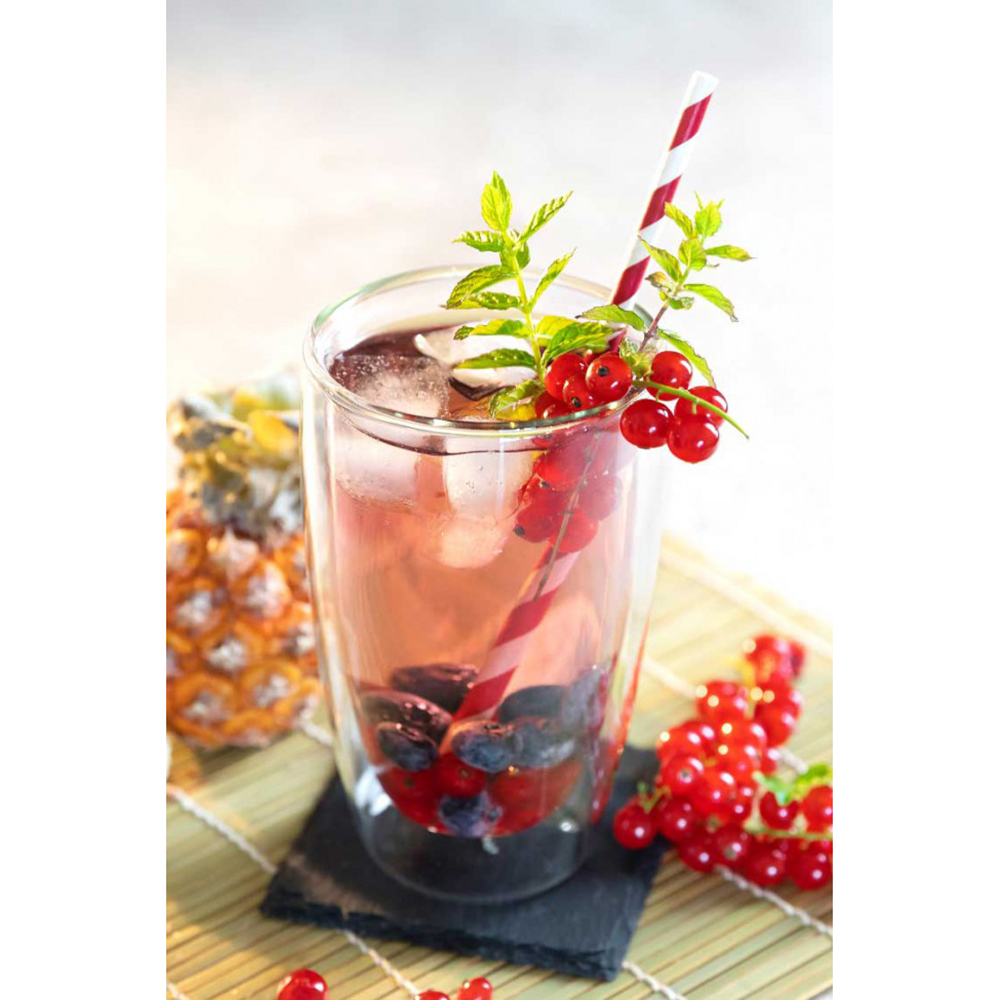 Bloomix Long Drink Glass bloomix blooSpirit XL, 550ml 4